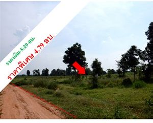 For Sale Land 90,800 sqm in Mueang Chaiyaphum, Chaiyaphum, Thailand