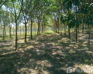 For Sale Land 30,116 sqm in Ban Dung, Udon Thani, Thailand