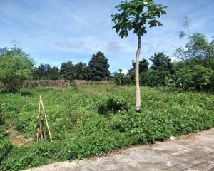 For Sale Land 1,600 sqm in Pai, Mae Hong Son, Thailand