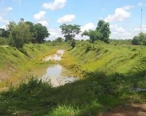 For Sale Land 3,200 sqm in Nong Mamong, Chainat, Thailand