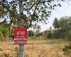 For Sale Land 5,504 sqm in Sawaeng Ha, Ang Thong, Thailand