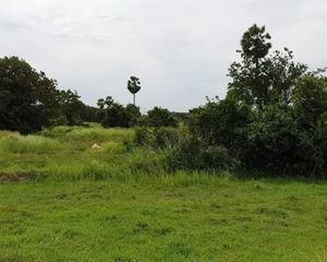 For Sale Land 10,276 sqm in Mueang Nakhon Si Thammarat, Nakhon Si Thammarat, Thailand