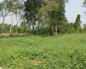 For Sale or Rent Land in Bang Bua Thong, Nonthaburi, Thailand