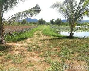 For Sale Land 182,236 sqm in Thalang, Phuket, Thailand