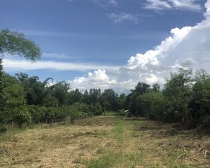 For Sale Land 2,000 sqm in Mae Taeng, Chiang Mai, Thailand