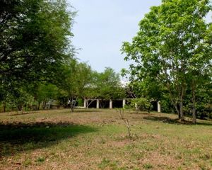 For Sale Land 48,000 sqm in Mae Taeng, Chiang Mai, Thailand