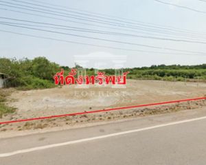 For Sale Land in Mueang Samut Songkhram, Samut Songkhram, Thailand