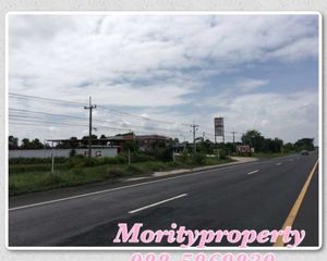 For Sale Land 16,000 sqm in Bua Lai, Nakhon Ratchasima, Thailand