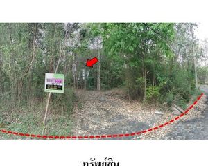 For Sale House 1,320 sqm in Mae Tha, Lampang, Thailand