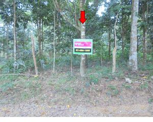 For Sale Land 6,480 sqm in Kapho, Pattani, Thailand