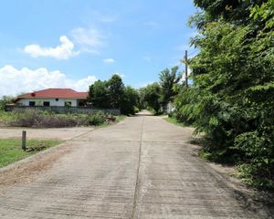 For Sale Land 386.4 sqm in Mueang Udon Thani, Udon Thani, Thailand