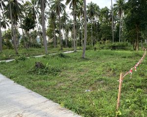 For Sale Land 400 sqm in Ko Samui, Surat Thani, Thailand