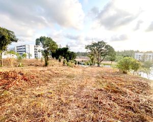 For Sale Land 11,336 sqm in Thalang, Phuket, Thailand