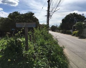 For Sale Land 2,456 sqm in Mueang Lamphun, Lamphun, Thailand