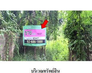For Sale Land 1,748 sqm in Dok Khamtai, Phayao, Thailand