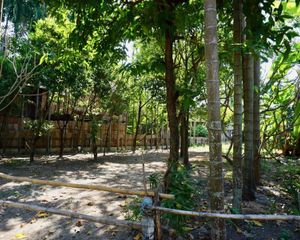 For Rent Land 696 sqm in Mueang Chiang Mai, Chiang Mai, Thailand