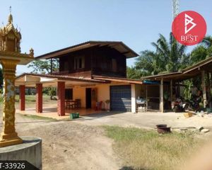 For Sale Land 4,800 sqm in Tha Sae, Chumphon, Thailand