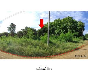 For Sale Land 2,824 sqm in Bueng Sam Phan, Phetchabun, Thailand