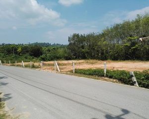 For Sale Land 2,972 sqm in Thalang, Phuket, Thailand