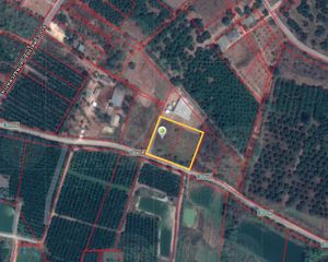 For Sale Land in Fang, Chiang Mai, Thailand