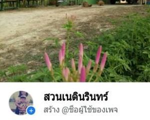 For Sale Land 19,256 sqm in Mueang Sukhothai, Sukhothai, Thailand