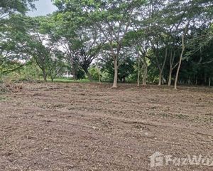 For Sale Land 5,396 sqm in Saraphi, Chiang Mai, Thailand