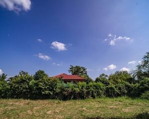 For Sale Land 15,604 sqm in Mueang Chiang Mai, Chiang Mai, Thailand
