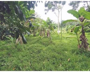For Sale Land 6,264 sqm in Kapho, Pattani, Thailand