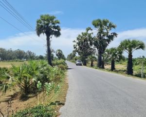 For Sale Land 6,536 sqm in Ranot, Songkhla, Thailand