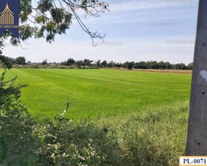 For Sale Land 7,728 sqm in Mueang Chai Nat, Chainat, Thailand