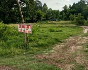 For Sale Land 4,604 sqm in Yang Talat, Kalasin, Thailand