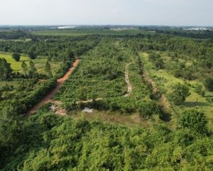 For Sale Land 35,352 sqm in Si Maha Phot, Prachin Buri, Thailand