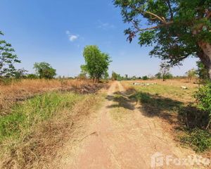 For Sale Land 75,616 sqm in Sung Noen, Nakhon Ratchasima, Thailand