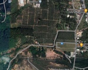 For Sale Land 54,400 sqm in Thalang, Phuket, Thailand