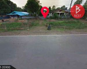 For Sale Land 984 sqm in Seka, Bueng Kan, Thailand