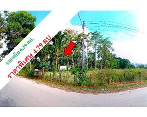 For Sale Land 11,572 sqm in Singhanakhon, Songkhla, Thailand