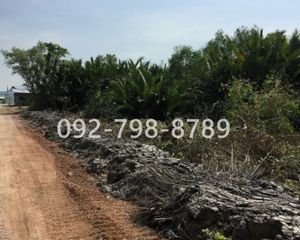 For Sale Land 30,400 sqm in Huai Rat, Buriram, Thailand