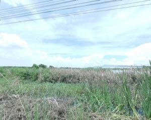 For Sale Land 76,372 sqm in Huai Rat, Buriram, Thailand