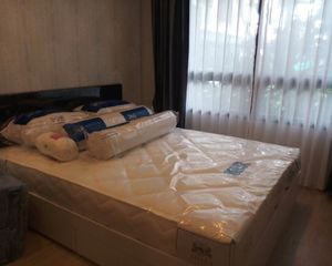 For Rent 1 Bed Condo in Lat Krabang, Bangkok, Thailand