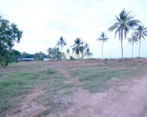 For Sale Land 7,304 sqm in Lang Suan, Chumphon, Thailand