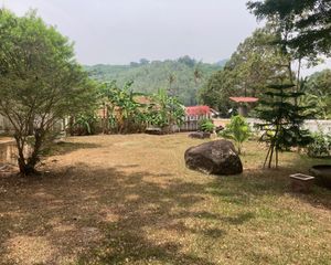 For Sale Land 429 sqm in Thalang, Phuket, Thailand