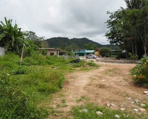 For Sale Land 1,008 sqm in Thalang, Phuket, Thailand