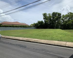 For Sale Land 1,626 sqm in Thalang, Phuket, Thailand
