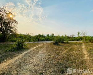 For Sale Land 16,000 sqm in Chom Thong, Chiang Mai, Thailand