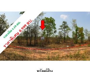 For Sale Land 18,392 sqm in Mueang Chaiyaphum, Chaiyaphum, Thailand