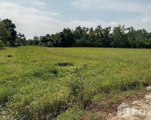 For Sale Land 22,400 sqm in Banphot Phisai, Nakhon Sawan, Thailand