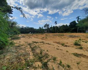 For Sale Land 22,656 sqm in Takua Pa, Phang Nga, Thailand