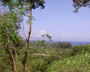 For Sale Land 1,600 sqm in Thalang, Phuket, Thailand