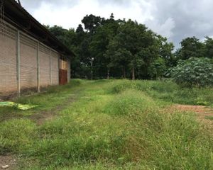 For Sale Land 2,400 sqm in Mueang Lamphun, Lamphun, Thailand