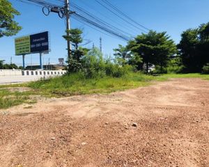 For Sale Land 13,040 sqm in Bang Bua Thong, Nonthaburi, Thailand